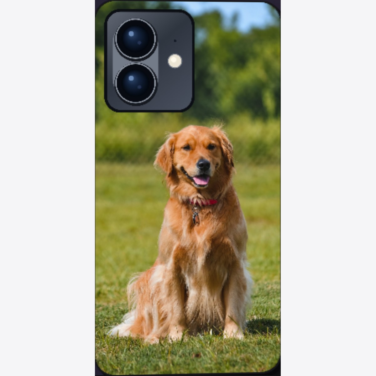 Capa de iPhone personalizada com foto de um cão golden retriever