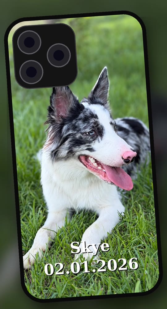 Capa de iPhone personalizada com foto de cão, nome Skye e data